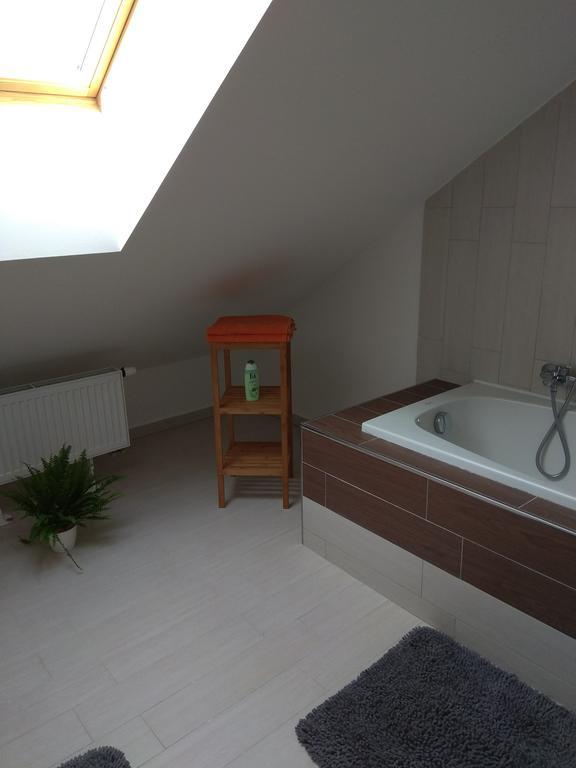 Apartmany Pod Lesem Bohutín 外观 照片